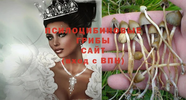 каннабис Нефтекумск