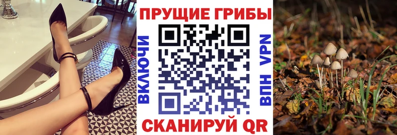 Галлюциногенные грибы мицелий  Райчихинск 